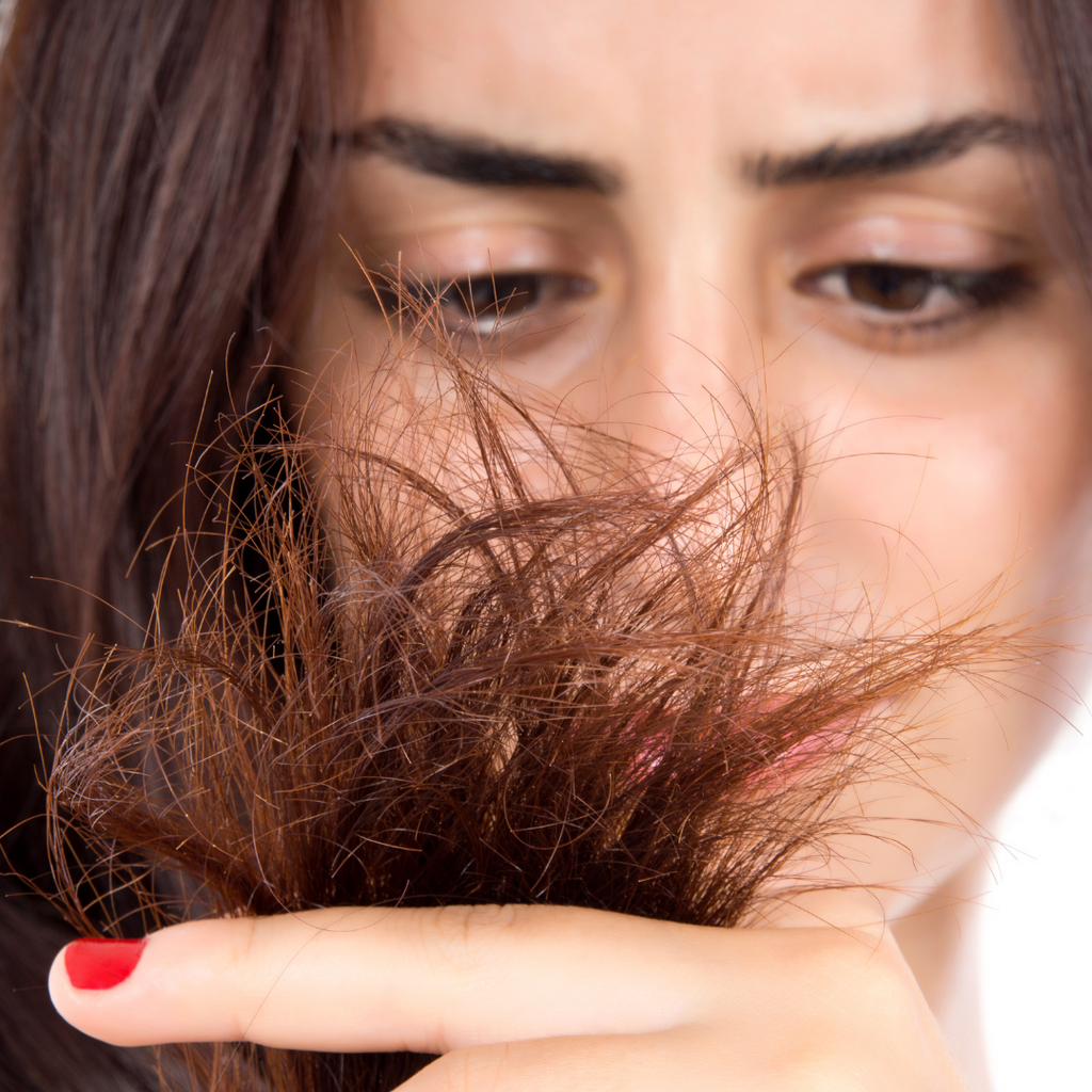 Myth or fact: Does cutting your hair regularly promote growth?